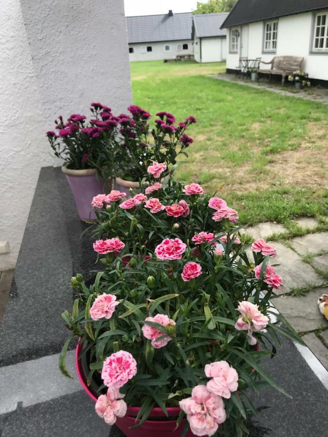 Bed & Breakfast Hoellviken Exterior foto